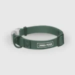 Canada Pooch Waterproof Forest Green Dog Collar (Small)