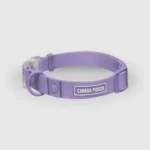 Canada Pooch Waterproof Lavender Dog Collar (Medium)